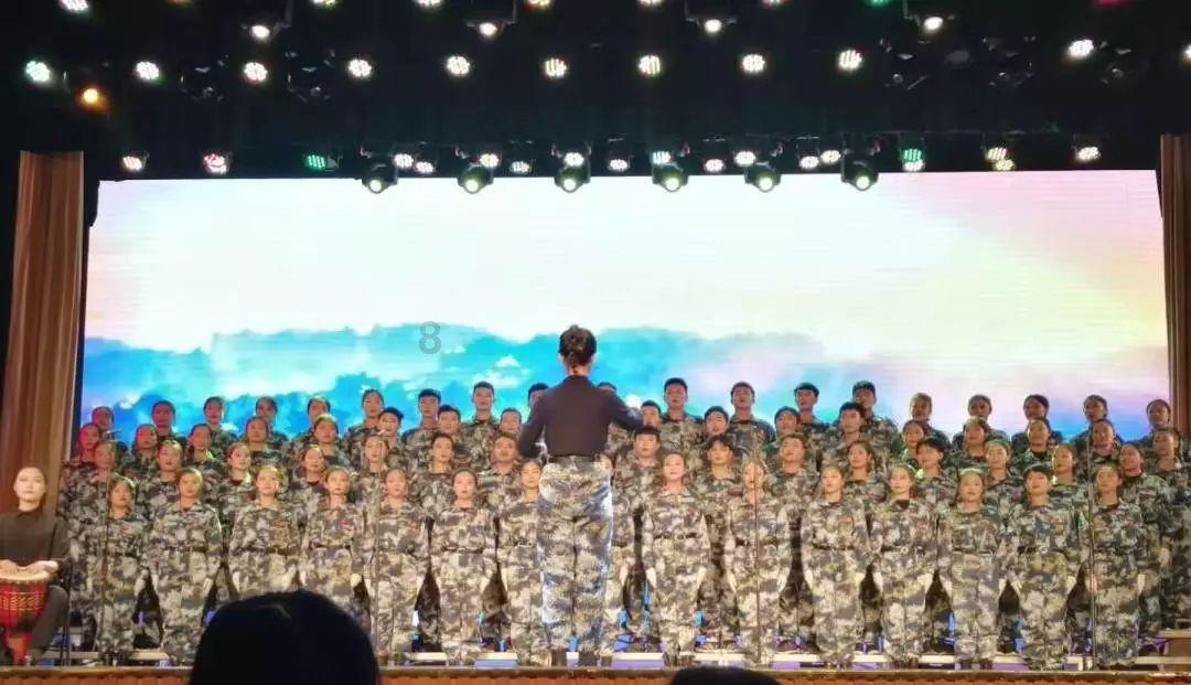 救援可爱小猪仔